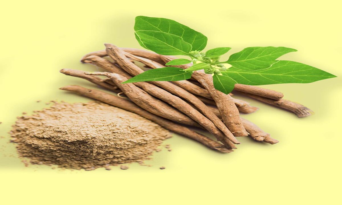 Prevent Viral Diseases with Ayurveda : Prevent viral diseases with Ayurvedic herbs