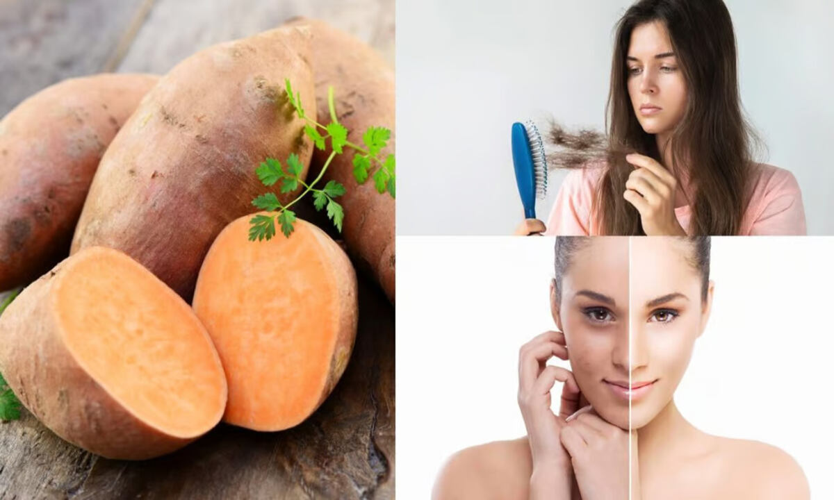 Sweet Potato Benefits: Sweet potato provides many health benefits along with taste