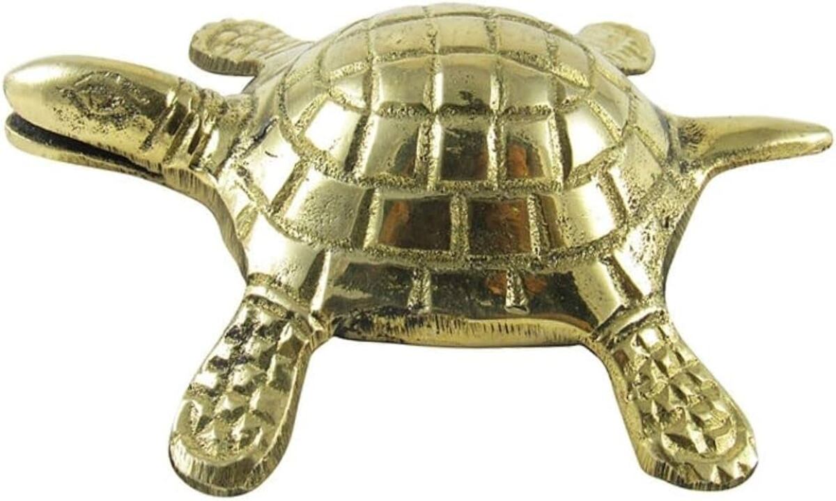 Tortoise : Vastu and Astrology
