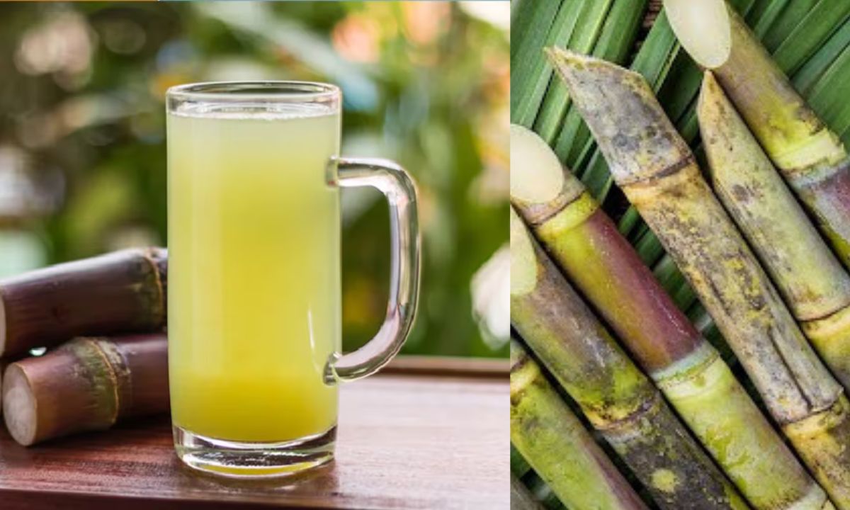 Get more returns with less investment with sugarcane juice business