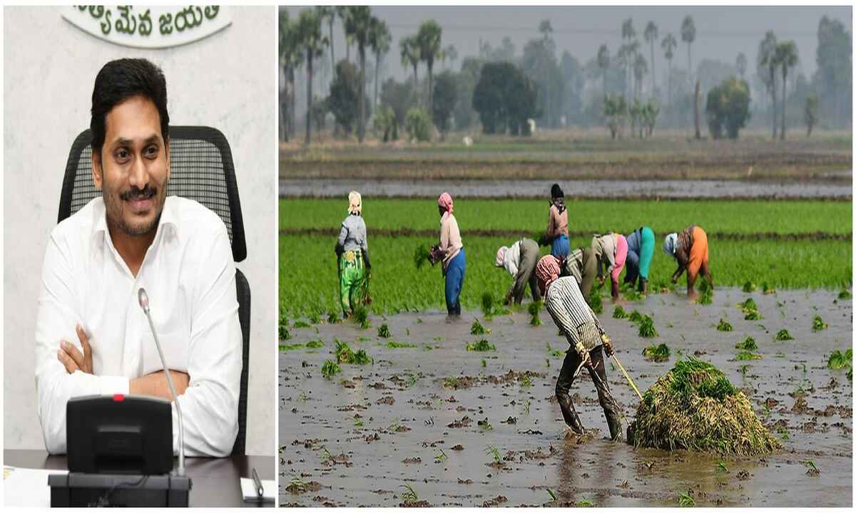 ap government released funds for farmers