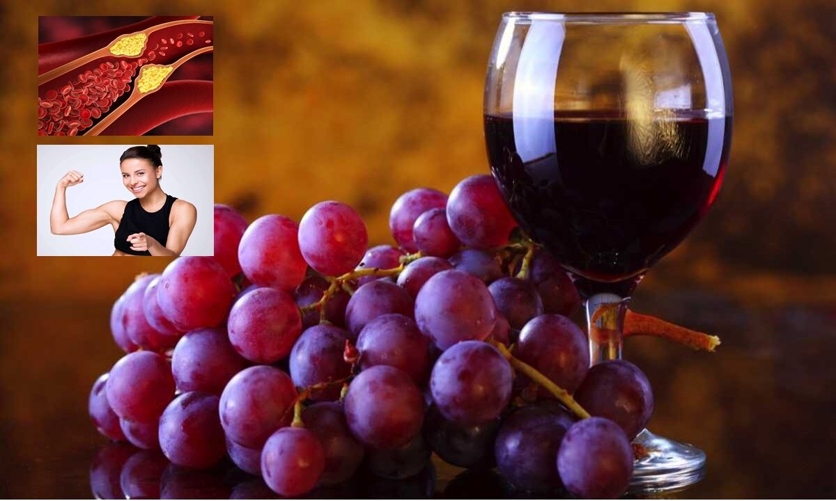 Increase your age span with red wine and know many benefits