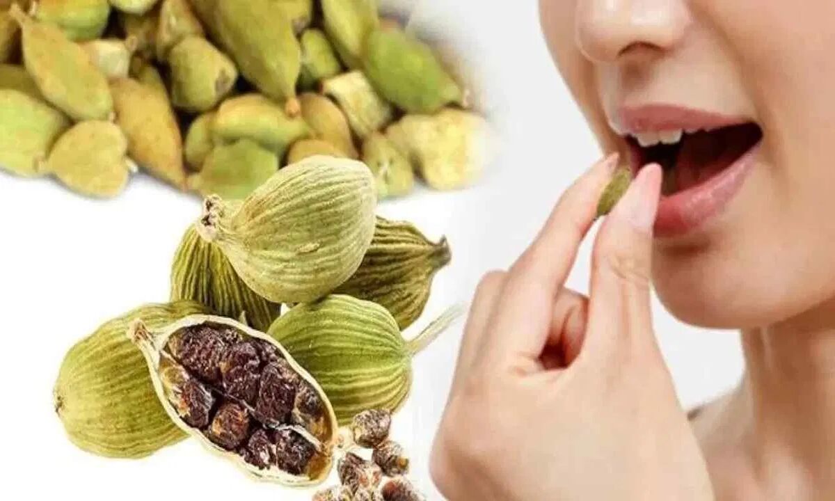 Benefits Of Cardamoms : Take two cardamoms every day to get "sexual potency" and other health benefits