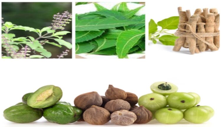 Prevent Viral Diseases with Ayurveda : Prevent viral diseases with Ayurvedic herbs