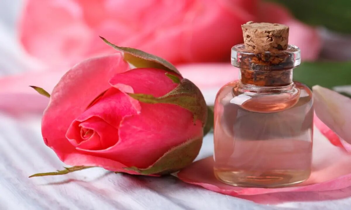 Benefits Of Rose Water: If you use rose water in this way, you will have the beauty of a rose