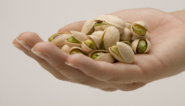 Benefits Of Pistachio Nut : Who ! 'Pistachios'.. The benefits of 'Pistachios' for masculinity and good health are not common.
