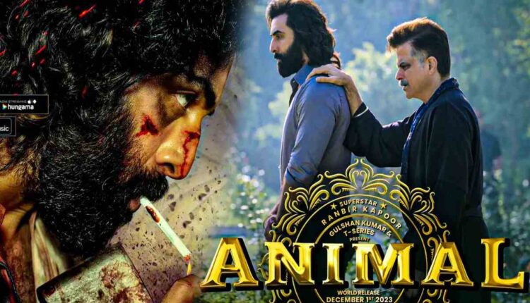 animal-movie-collections-will-rain-the-film-has-collected-more-than-rs-600-crores-worldwide