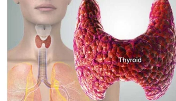 Thyroid Troubles: Thyroid gland problems that silently affect your heart; Know what to do