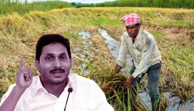 ap-government-has-given-good-news-to-the-farmers-the-money-has-been-deposited-in-their-accounts