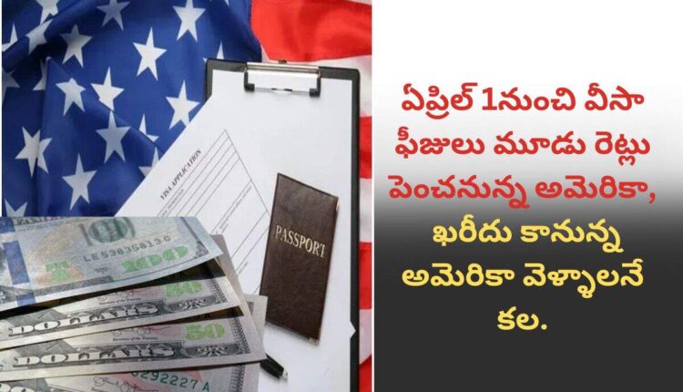US Raises Visa Fees