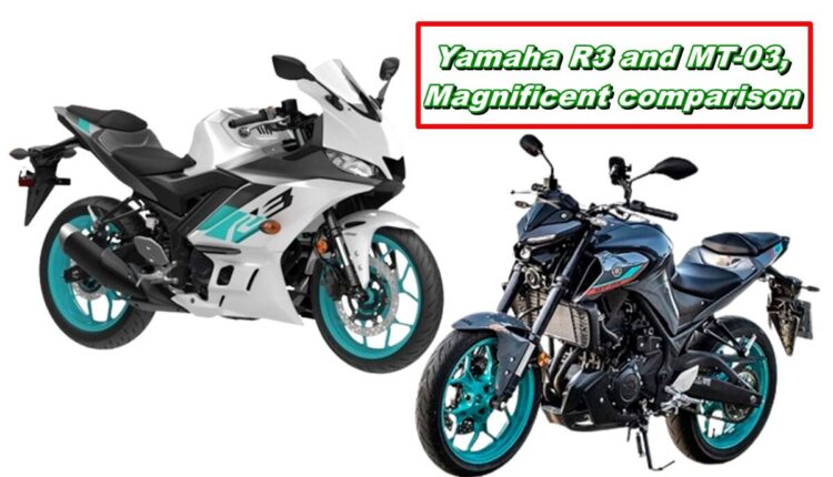 Yamaha R3 and MT-03
