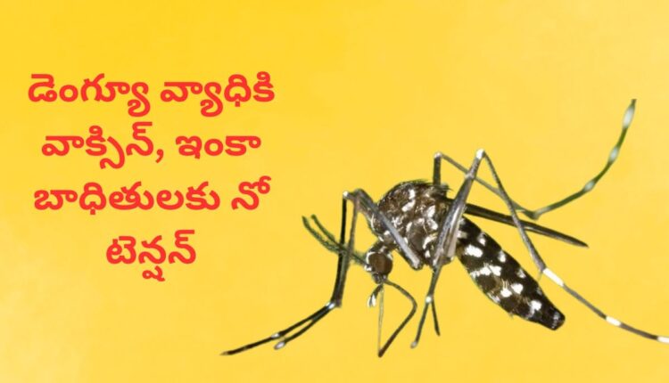 Dengue Vaccine