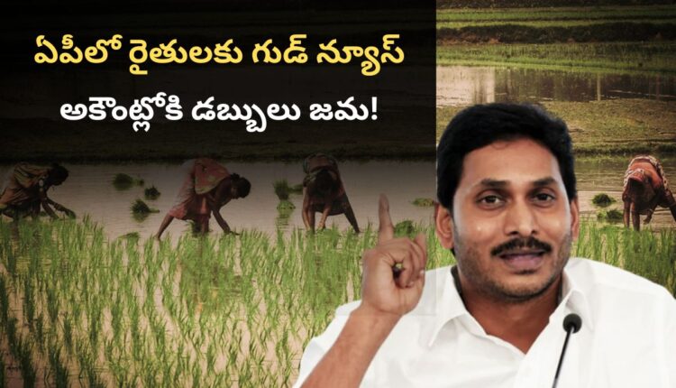 Andhra Pradesh Farmers